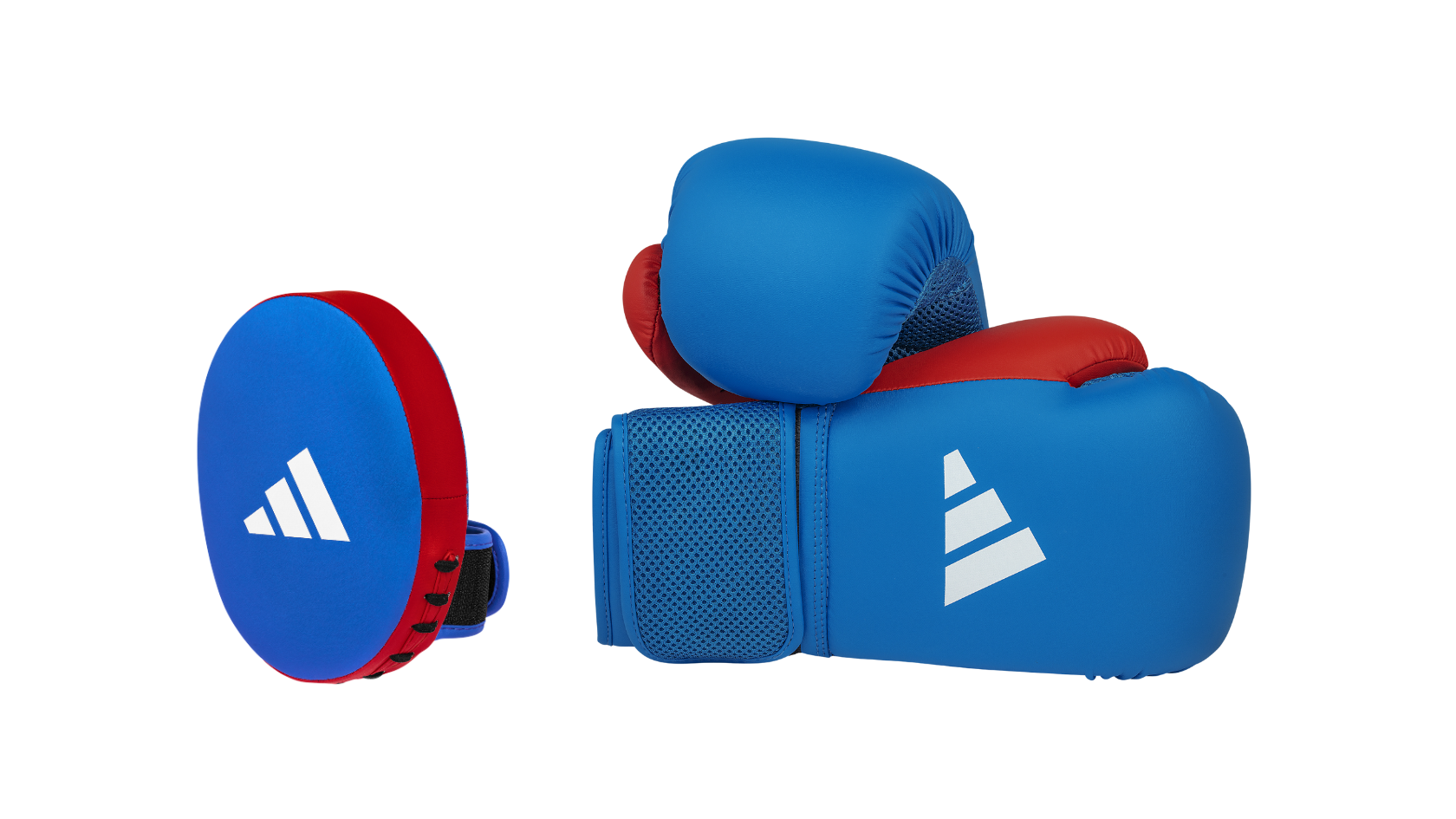 blue and red boxing gloves