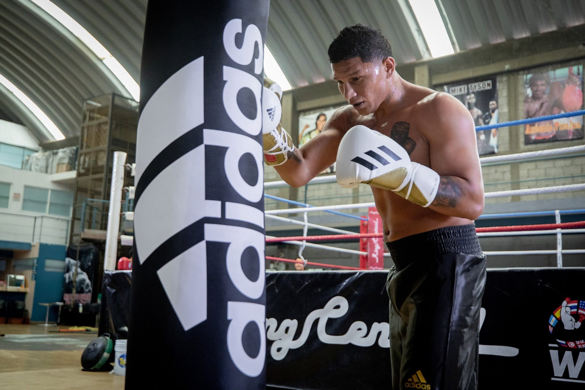 Man in boxing gloves punching a heavy bag in a gym.