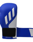 Blue and gray boxing glove with brand logo on a white background