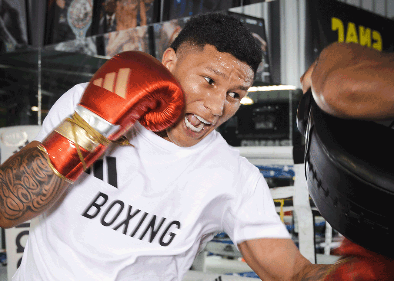 A boxer wearing red and gold boxing gloves and a white t-shirt that reads 'BOXING' throws a punch at a training pad during a gym workout session. A boxing ring is visible in the background.