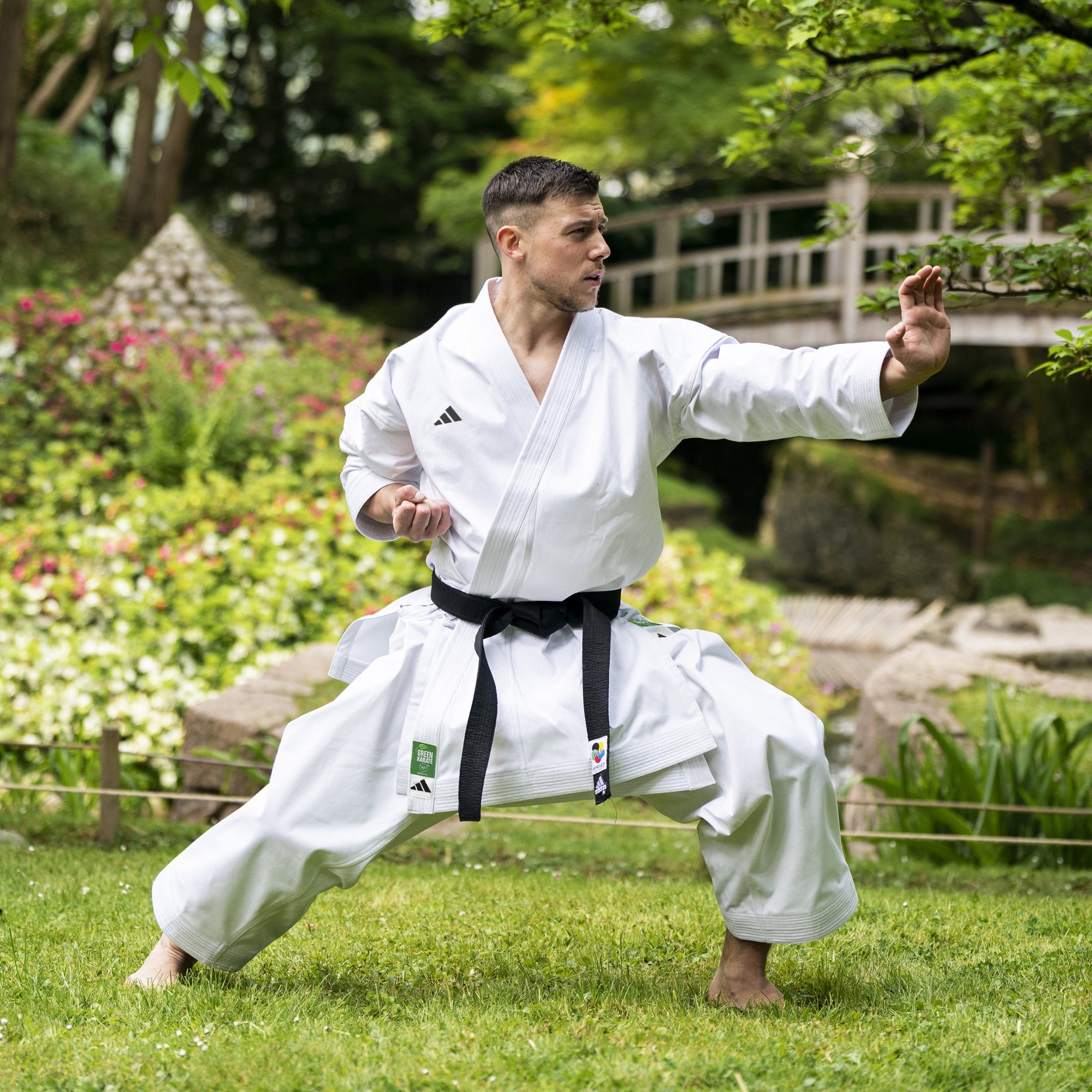 Karate Schools & Clubs
