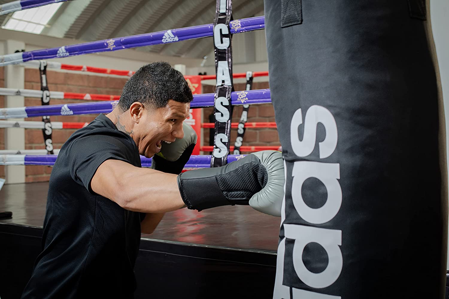 Man wearing Adidas boxing gloves punching a bag.