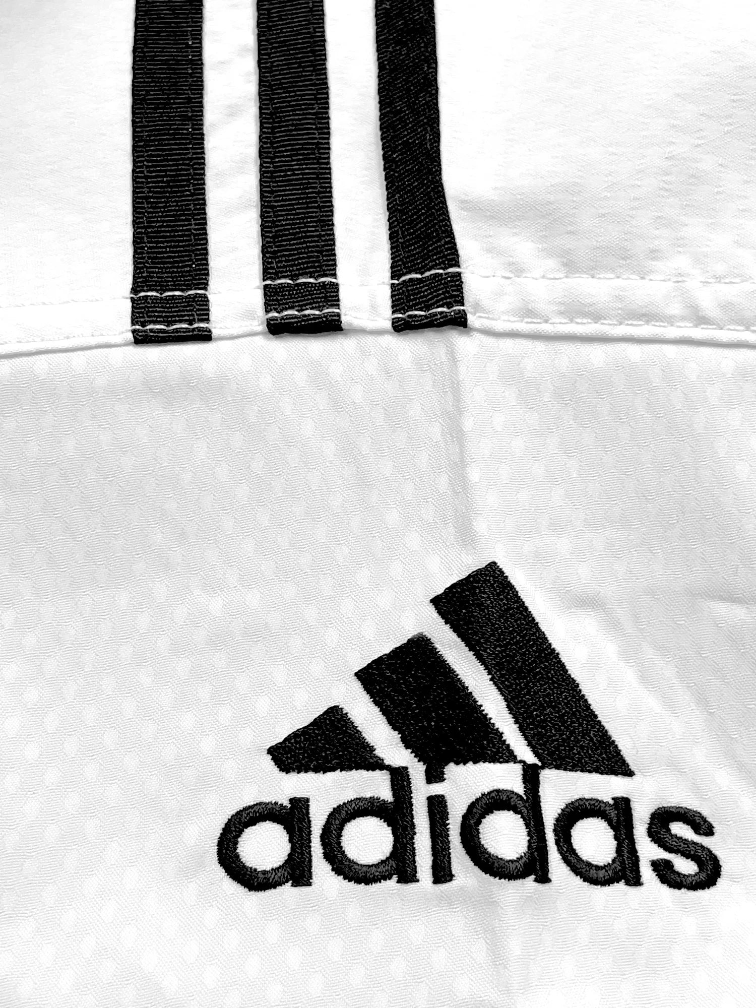 Close-up of a logo on Adidas taekwondo sparring uniform.