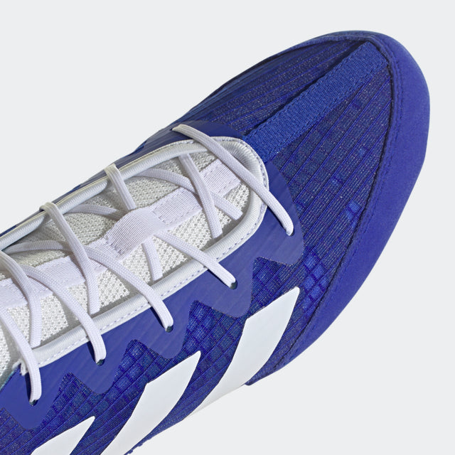 Close-up of a blue and white boxing shoe.