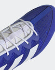 Close-up of a blue and white boxing shoe.