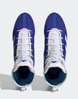 Pair of blue and white boxing shoes.