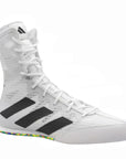 White and black boxing shoe.