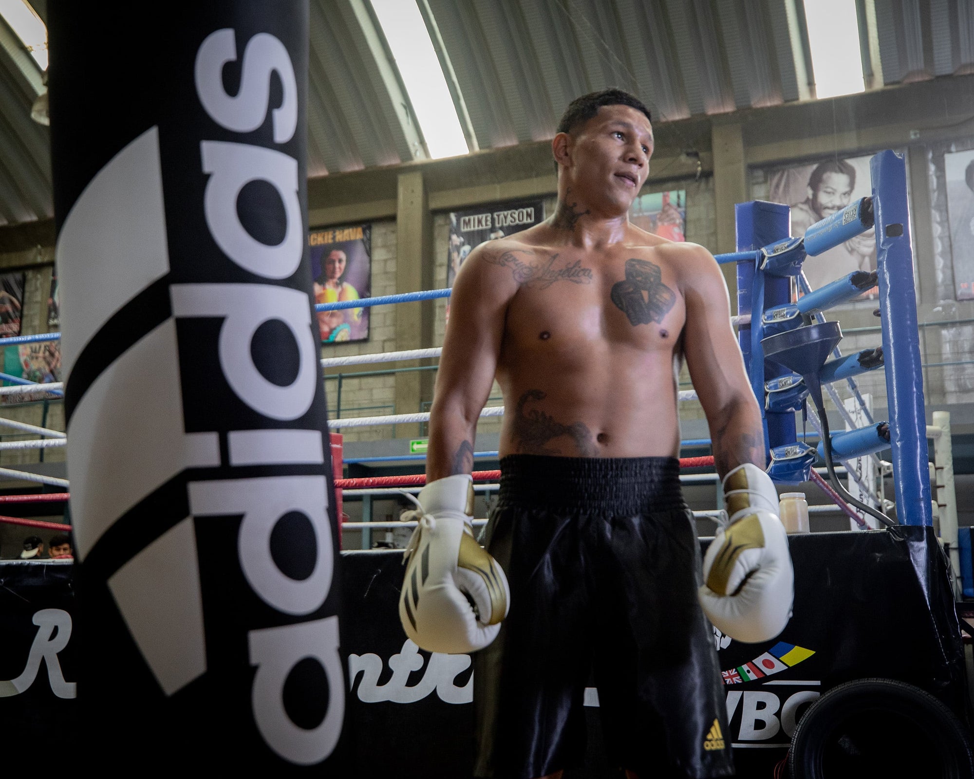 Man wearing boxing gloves in a boxing ring.