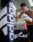 Man in boxing gloves punching a heavy bag in a gym.