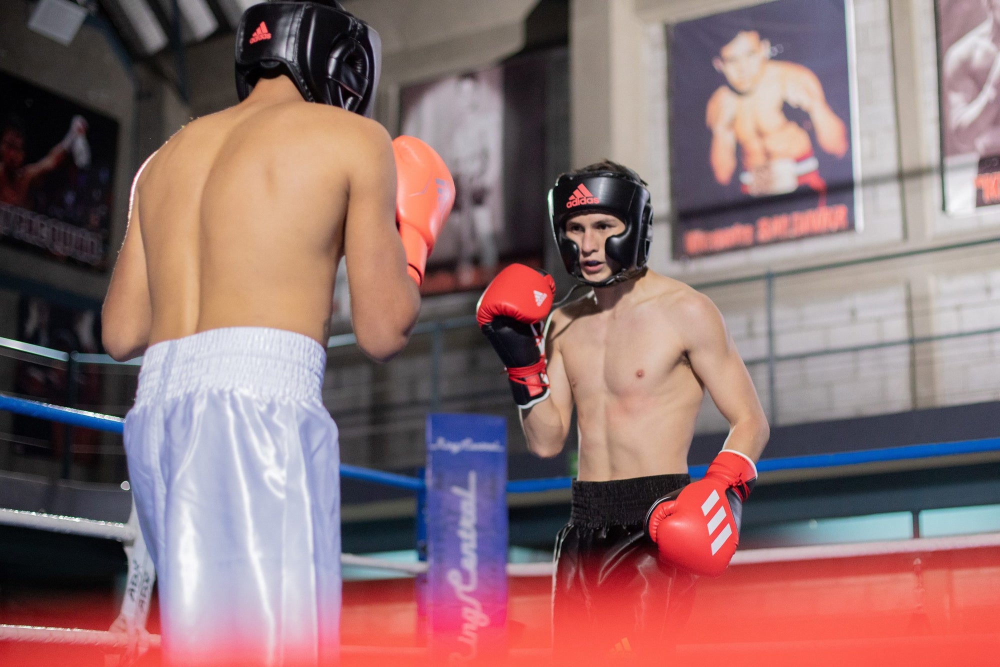 Two men wearing boxing gloves and helmets in a match.