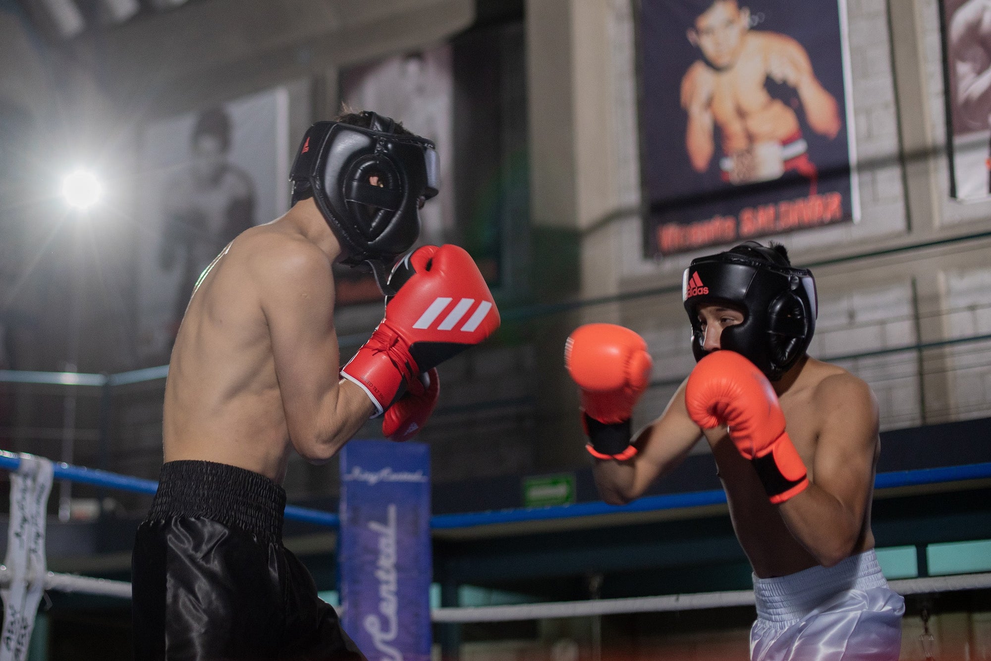 Two men wearing boxing gear and helmets for training.