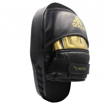 Black and gold boxing gloves used for training.