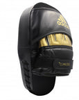 Black and gold boxing gloves used for training.