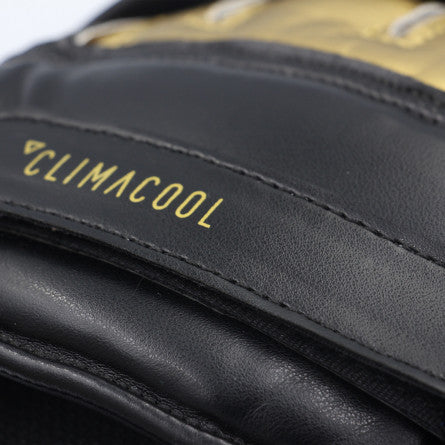 Close-up of a black and gold Adidas glove for boxing.