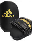 Black and gold boxing mitt.