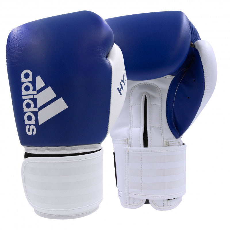 A pair of blue and white boxing gloves.