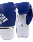 A pair of blue and white boxing gloves.