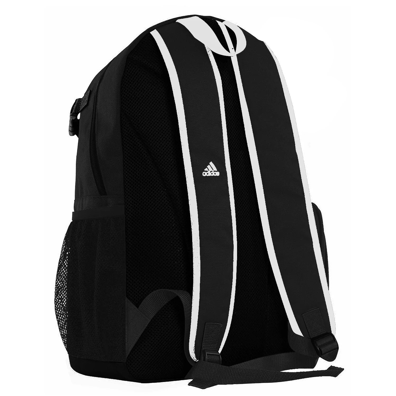 Black and white backpack.