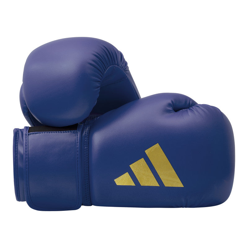 Pair of blue boxing gloves.