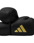 Pair of black and gold boxing gloves for boxing and kickboxing.