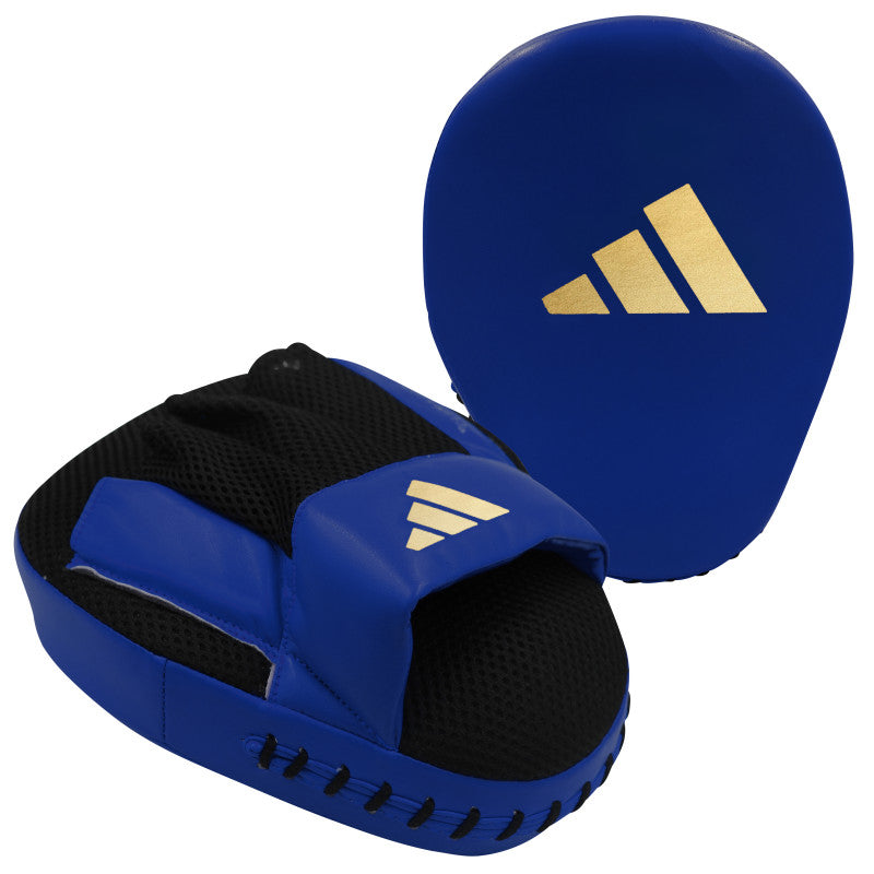 Blue and black glove for boxing practice.