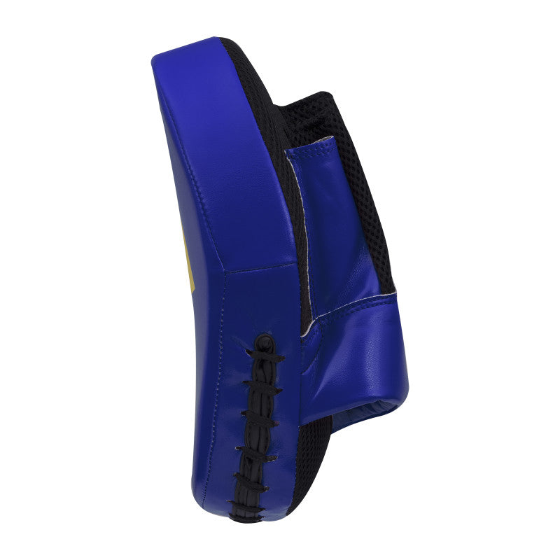 Blue and black boxing glove for Speed Coach FM equipment.