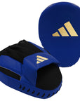 Blue and black glove for boxing practice.