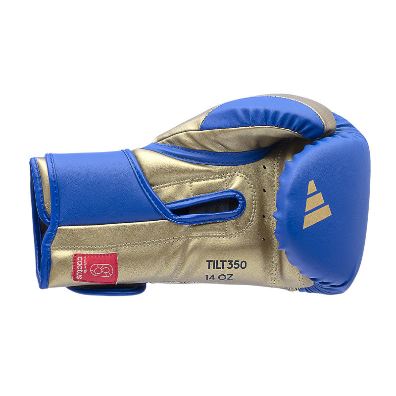 Blue and gold boxing glove for training.