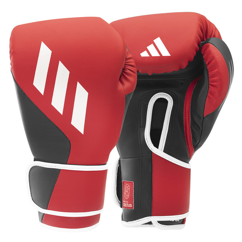 Boxing gloves and shoes online